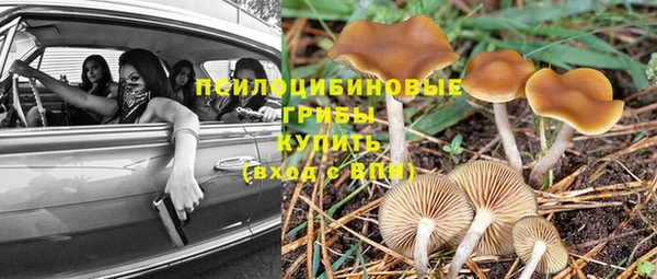 ешки Арсеньев