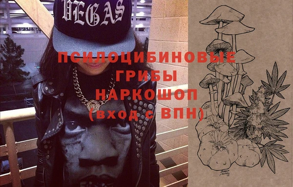 ешки Арсеньев