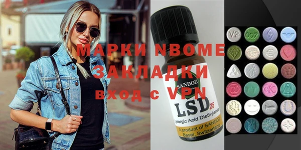 индика Алексин