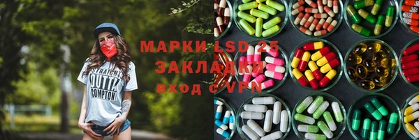 индика Алексин