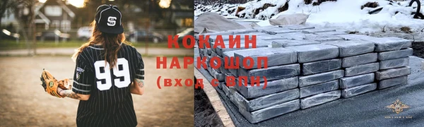 соль ск Алзамай
