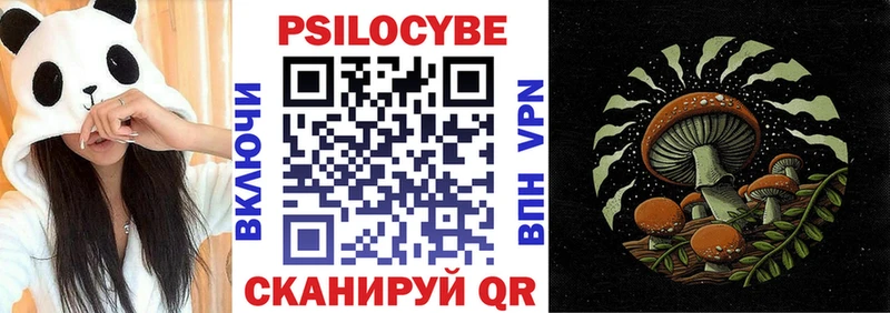 Купить закладки  Малоархангельск  Псилоцибиновые грибы Psilocybe 